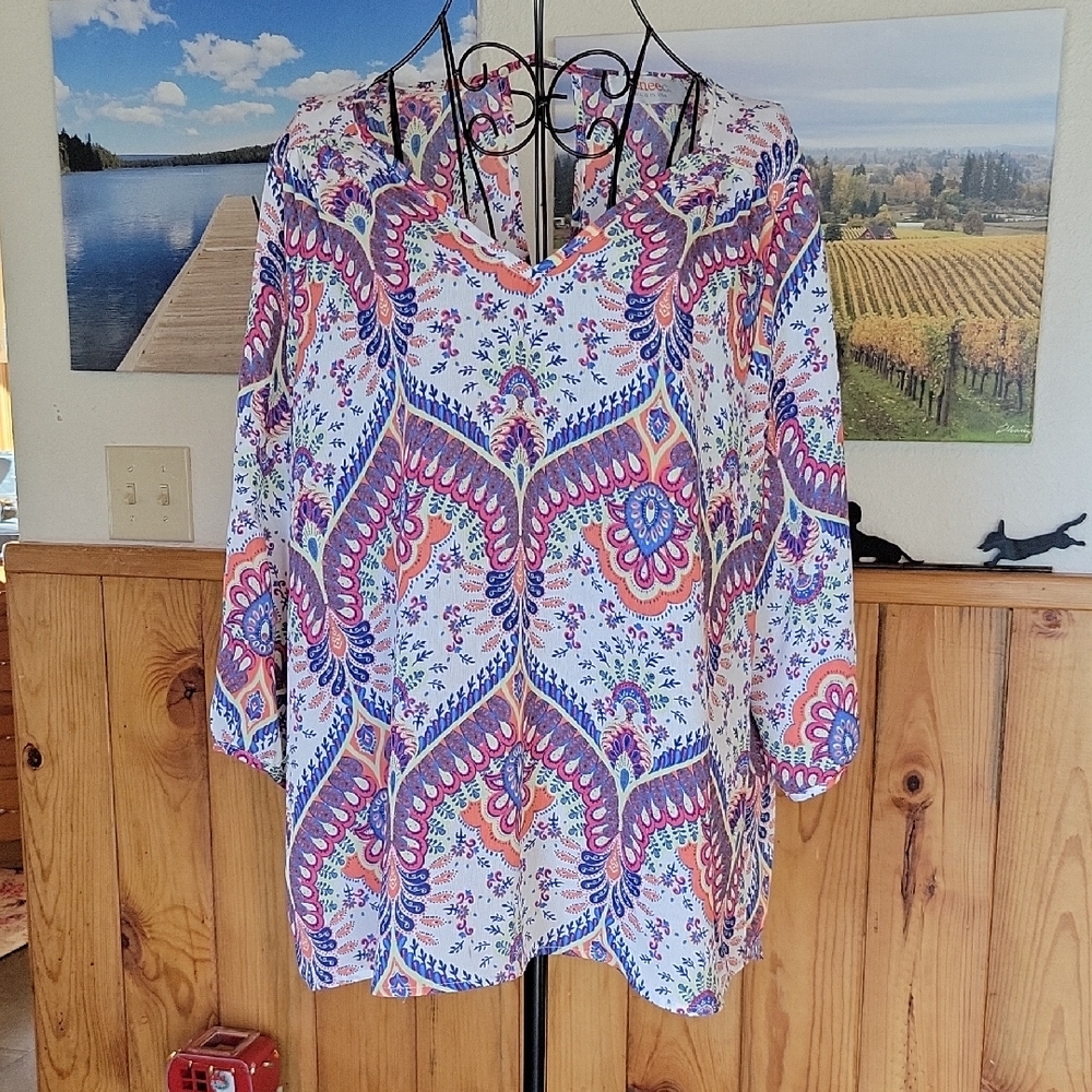 Renee C. Multicolor Paisley Women's Blouse